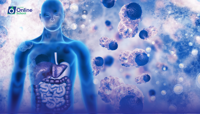 Lesson 24: Describing Methods for DNA Introduction into Cells/Embryos